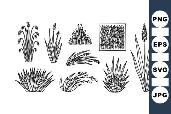 Download Hand Drawn Grass Vector Set - Hand drawn Collection