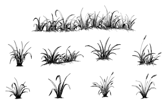 Download Hand Drawn Grass Illustration - Hand drawn Collection