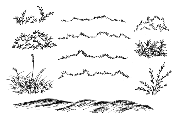 Download Hand Drawn Grass and Bush - Hand drawn Collection