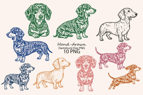 Download Hand-drawn Dachshund Dog PNG - Dachshund Collection