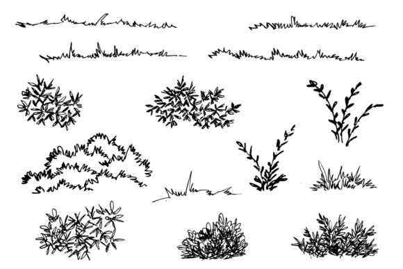 Download Hand Drawn Grass and Bush. Grass Sketch - Hand drawn Collection